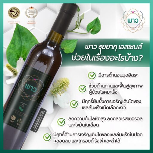 พาว น้ำพลูคาวสกัดเข้มข้น เสริมสร้างภูมิต้านทาน