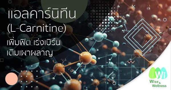 l-carnitine-accelerates-metabolism