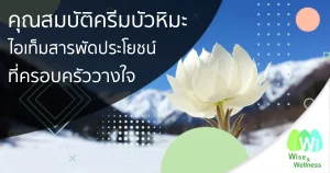 snow-lotus-cream-features