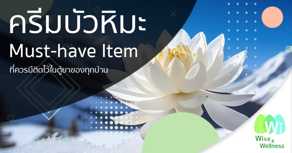 snow-lotus-cream-fist-aids-kits