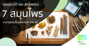 7-herbs-balance-hormones