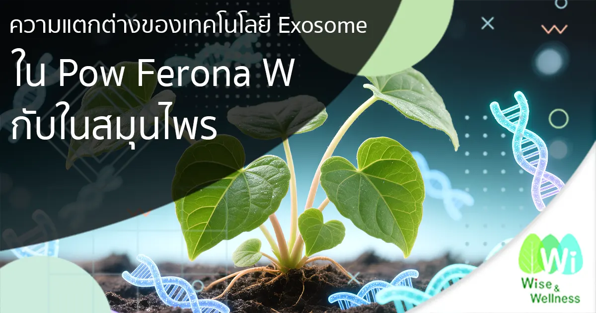 difference-exosome-in-herbal