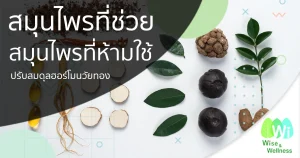 herbs-help-balance-menopausal-hormones