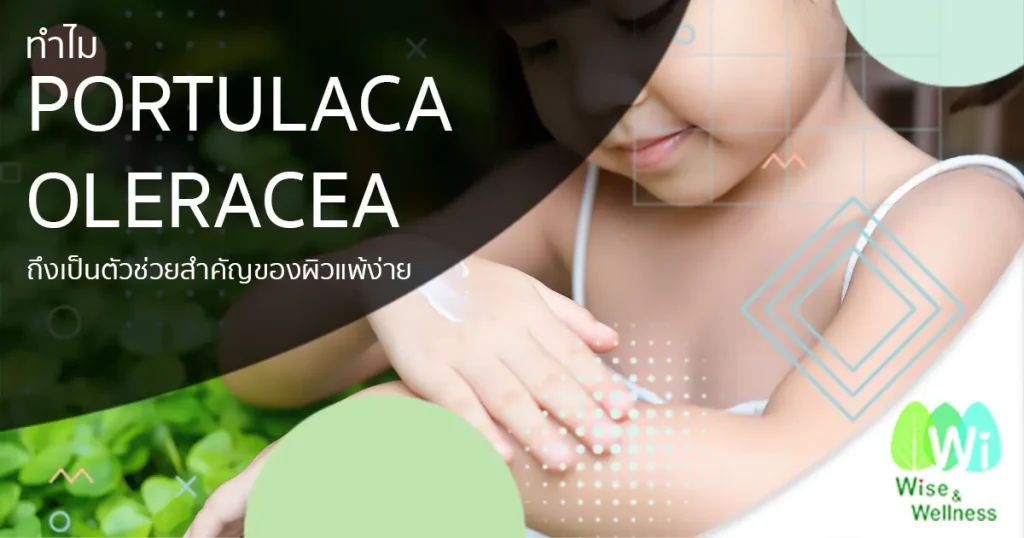 portulaca-oleracea-helper-for-sensitive-skin