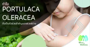 portulaca-oleracea-helper-for-sensitive-skin