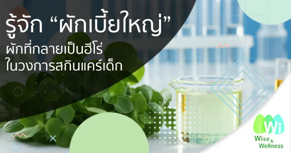 portulaca-oleracea-skincare-hero