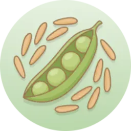 adella-pea-brown-rice-protein