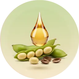 soy_extract