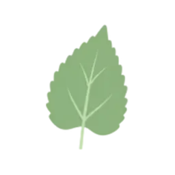 mulberry-leaf