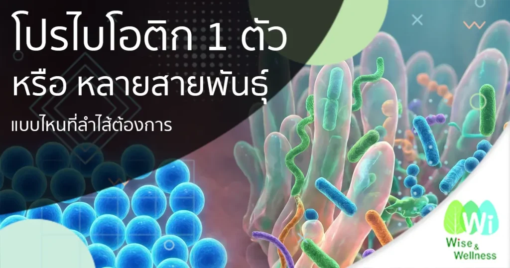 gut-to-need-a-single-probiotic-or-multiple-strains