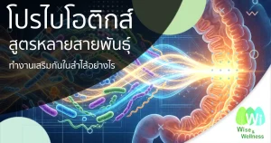 multi-strain-probiotics-work-synergistically