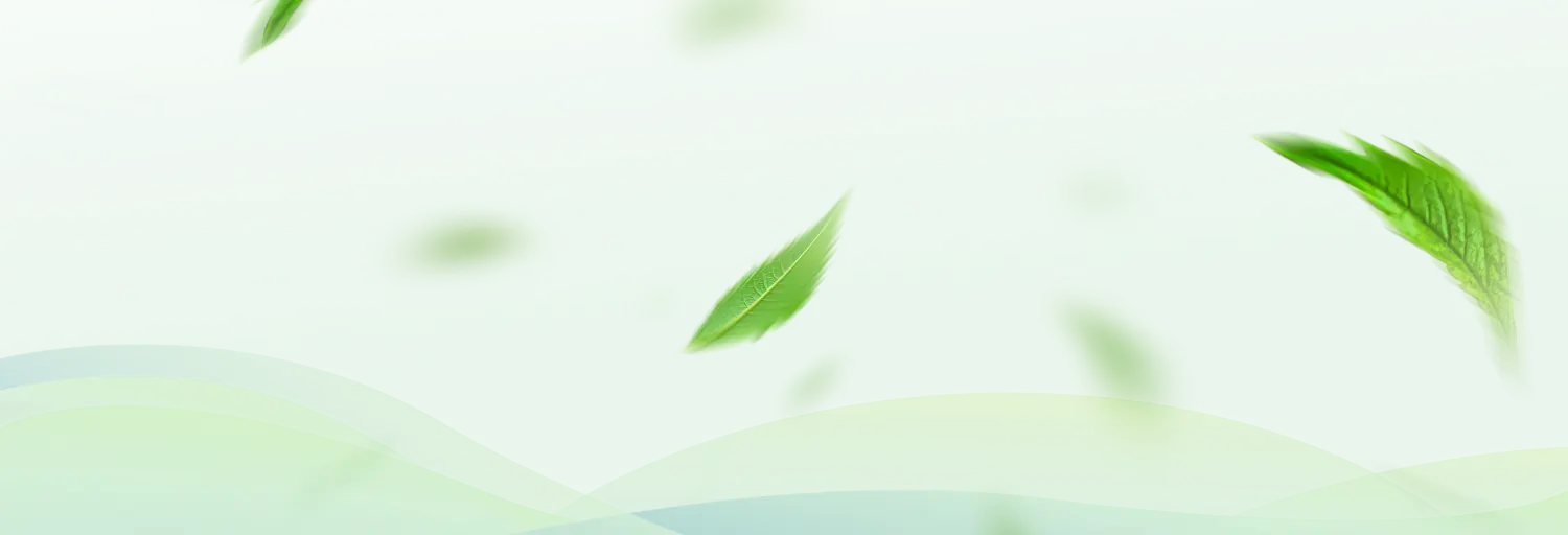 section background
