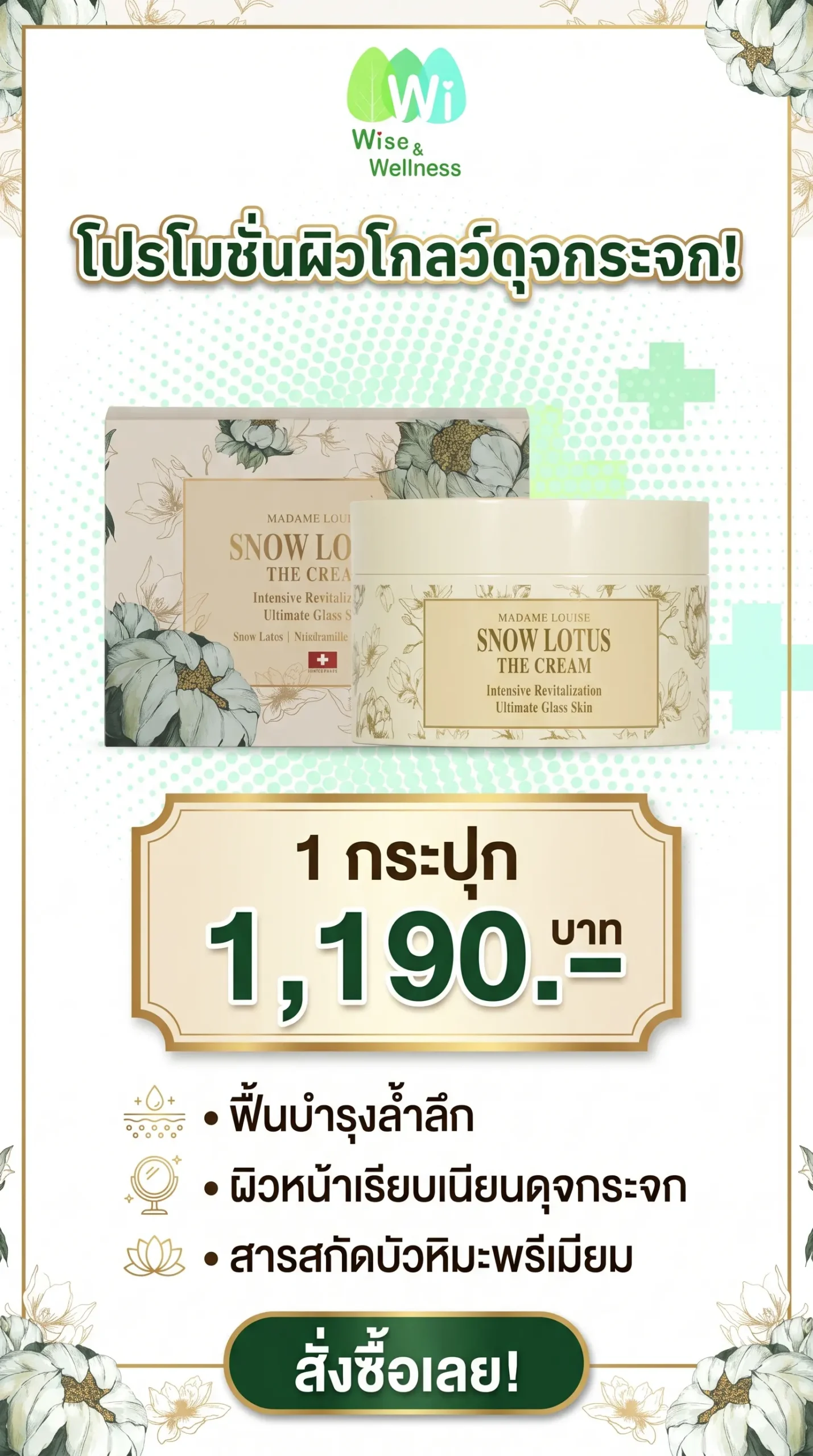 บัวหิมะมาดามหลุยส์ The Cream Promotion